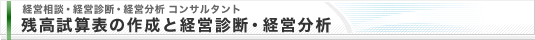 経営相談・経営診断・経営分析 コンサルタント 残高試算表の作成と経営診断・経営分析