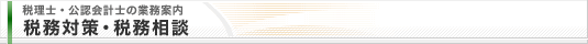 税理士・公認会計士の業務案内 税務対策・税務相談